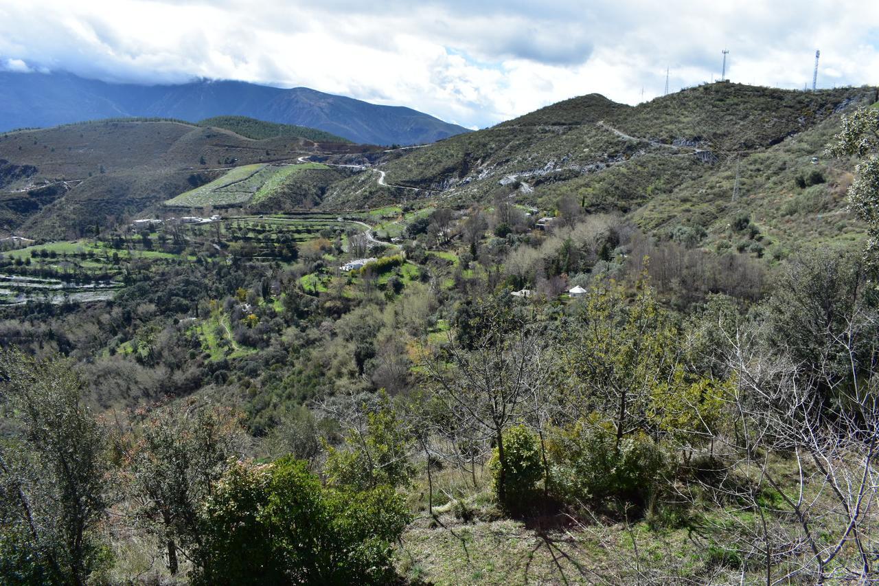 Dreams Alpujarra Apartment Pampaneira Bagian luar foto