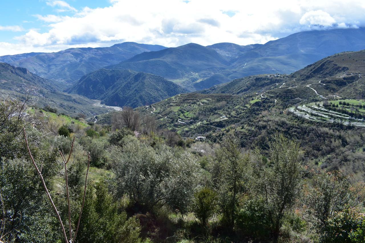 Dreams Alpujarra Apartment Pampaneira Bagian luar foto
